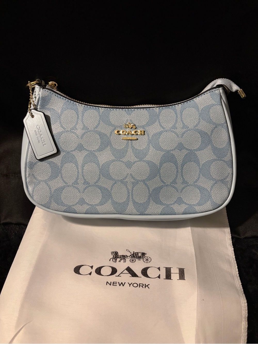 Coach Light Blue Signature Canvas Shoulder Pouch with Gold Hardware